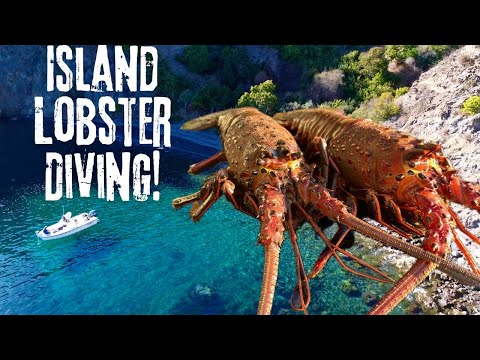 Catalina Island Camping and Lobster Diving! Catch Clean and Cook