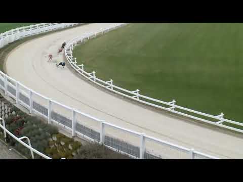 2022.10.29. 13. futam - Kölyök Derby Consolation