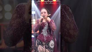 Download lagu Apt Thailand X Sayang Culik Aku #nikensalindry #shortsvideo #laguviral #safarimusic #storymusik mp3