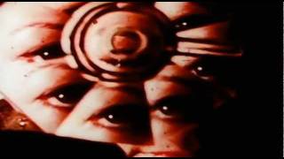 Snake Rattle Rattle Snake - Like A Moth