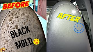 How To REMOVE BLACK MOLD for .54 Cents!  Works for Car or Home, on Vinyl, Leather, Plastic & Rubber