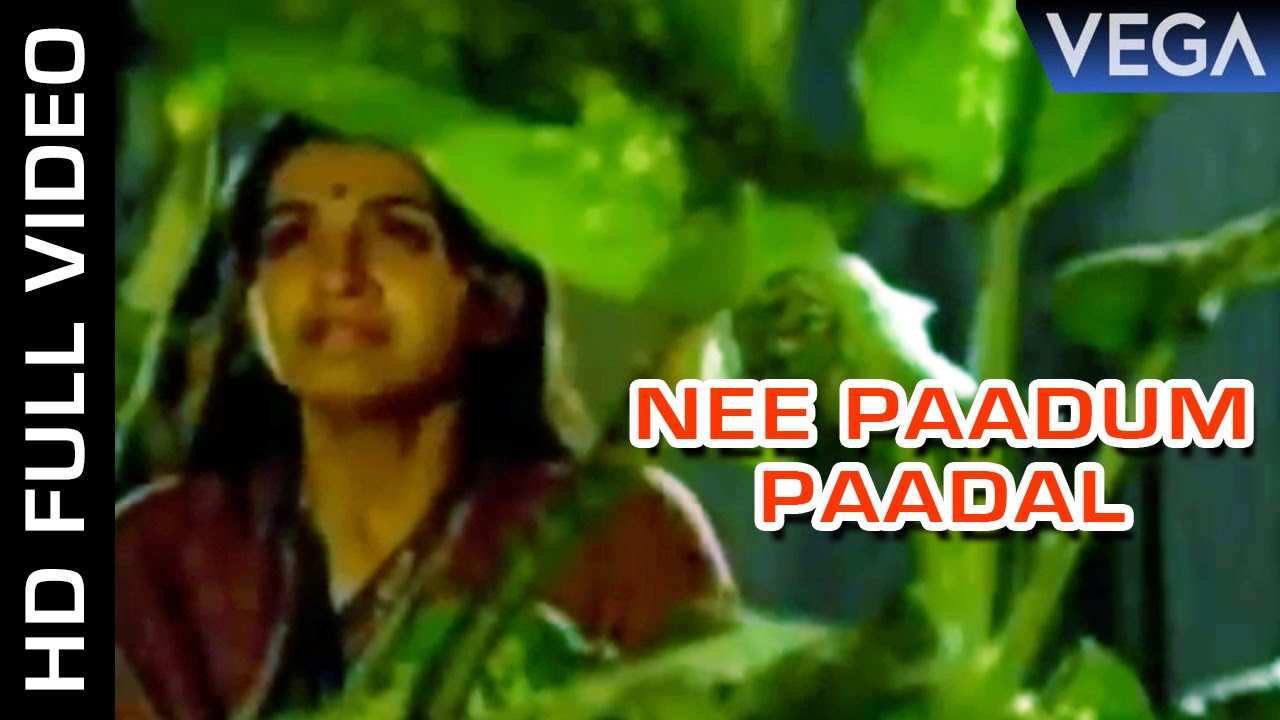 Nee Paadum Paadal Song Lyrics | Enkeyo Ketta Kural | S. Janaki