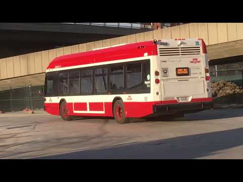 TTC 2018-2019 Nova Bus LFS HEV Video