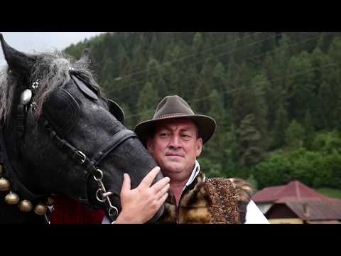 Murgul meu cu coama deasă-Eugen Mihăilă si formația Adi Străulea 0745819769 /0724883504