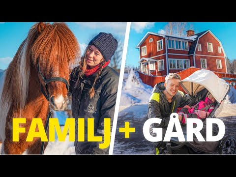 FAMILJELIV PÅ GÅRDEN
