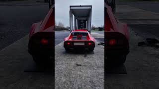 Last arrivals of the year