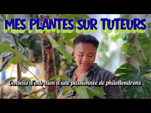 ALL ABOUT TUTORS (brands, installations, maintenance)