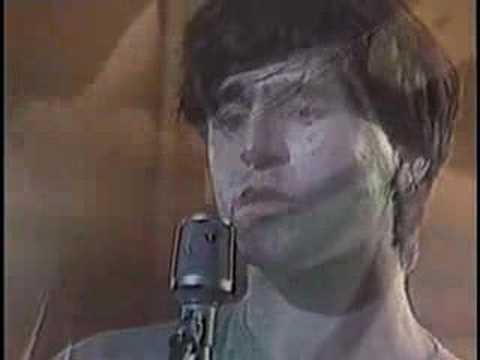 The Chameleons - Monkeyland