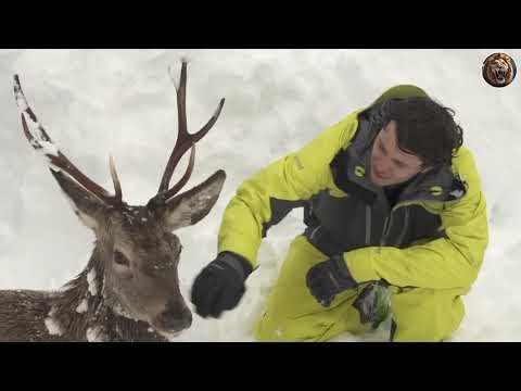 Animals That Asked People for Help & Kindness! #3 | D-Animals Grow Up 2024