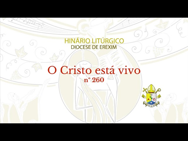 Preview do vídeo