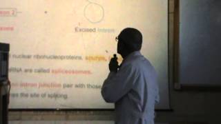 16) Dr.Rasheed 22/04/2014 [Transcription, Post-transcriptional processing of RNA, tRNA & rRNA]