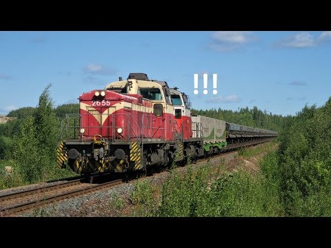 Kuvailua kalkkivuorten kupeessa 7.8.2018 (Ruokosuo-Siilinjärvi)