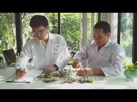 Unveiling Nature's Secrets: A Peek into a Botanical Research by IONUT ANTON