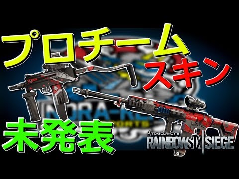 【R6S】公式から未発表のプロチームスキンがリーク!!野良連2つ目のスキンも!!全部かっこいい!!【レインボーシックス】