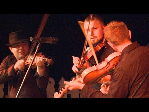 Hajlandery - gość jubileuszu Kabaretu "Truteń"