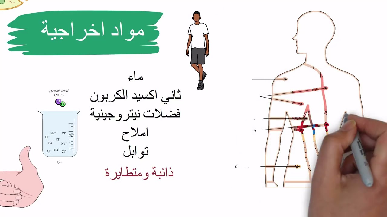 منهج احياء تانية ثانوي ازهر كاملا