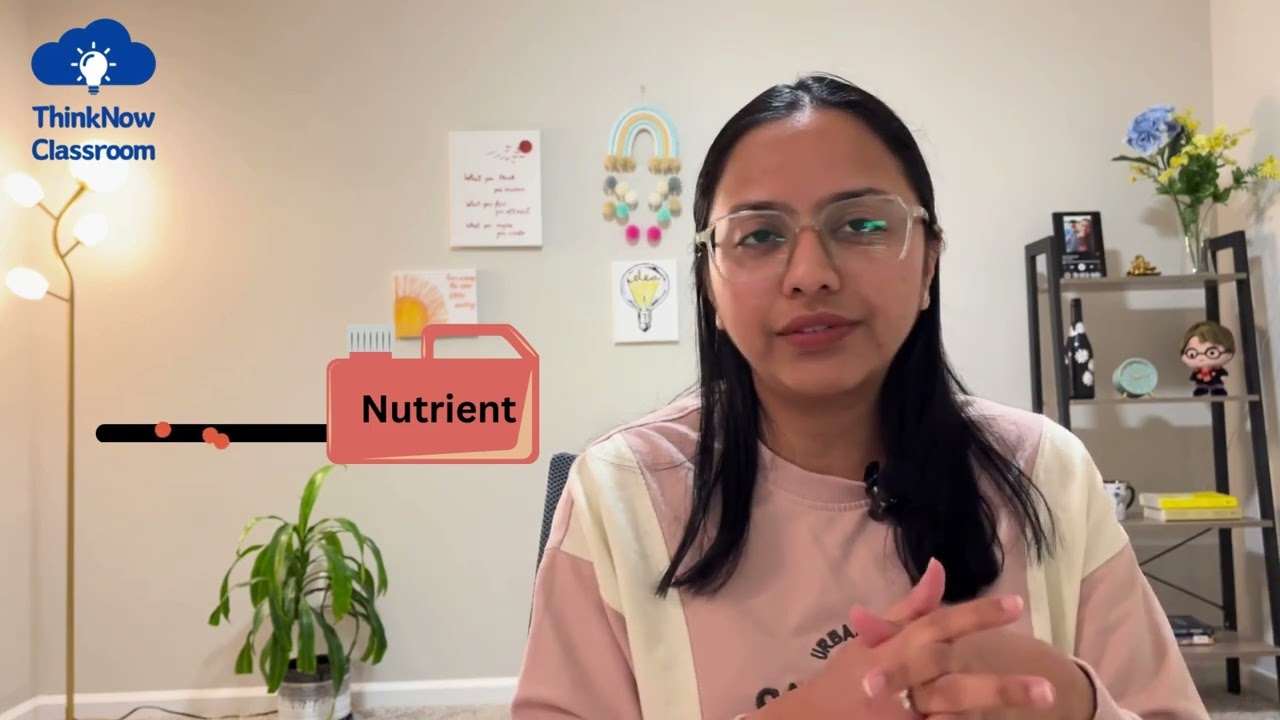 Stage 3- Smart Sprouts Adding Cool Features