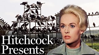 A Gathering Of Crows - The Birds (1963) | Hitchcock Presents