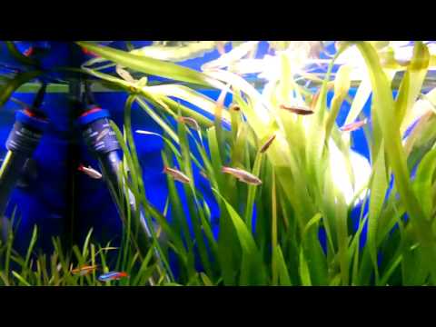 Watch Video on YouTube