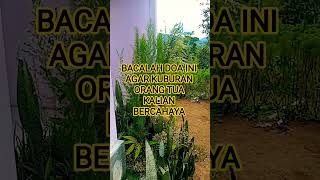Download lagu BACALAH DOA INI AGAR KUBURAN ORANG TUA BERCAHAYA #shortvideo #dakwah#doa#amalan mp3 Download lagu BACALAH DOA INI AGAR KUBURAN ORANG TUA BERCAHAYA #shortvideo #dakwah#doa#amalan mp3