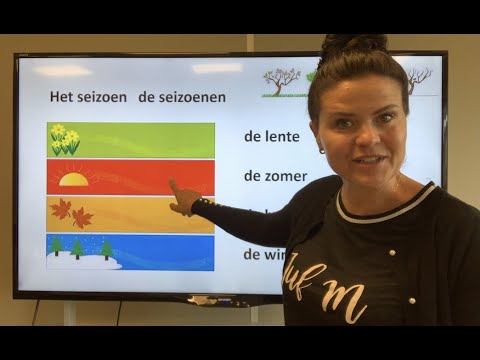 NT2 sneeuw donder bliksem seizoenen, lente zomer herfst winter🌸🌞🍁☃️#learndutch #nederlandsleren