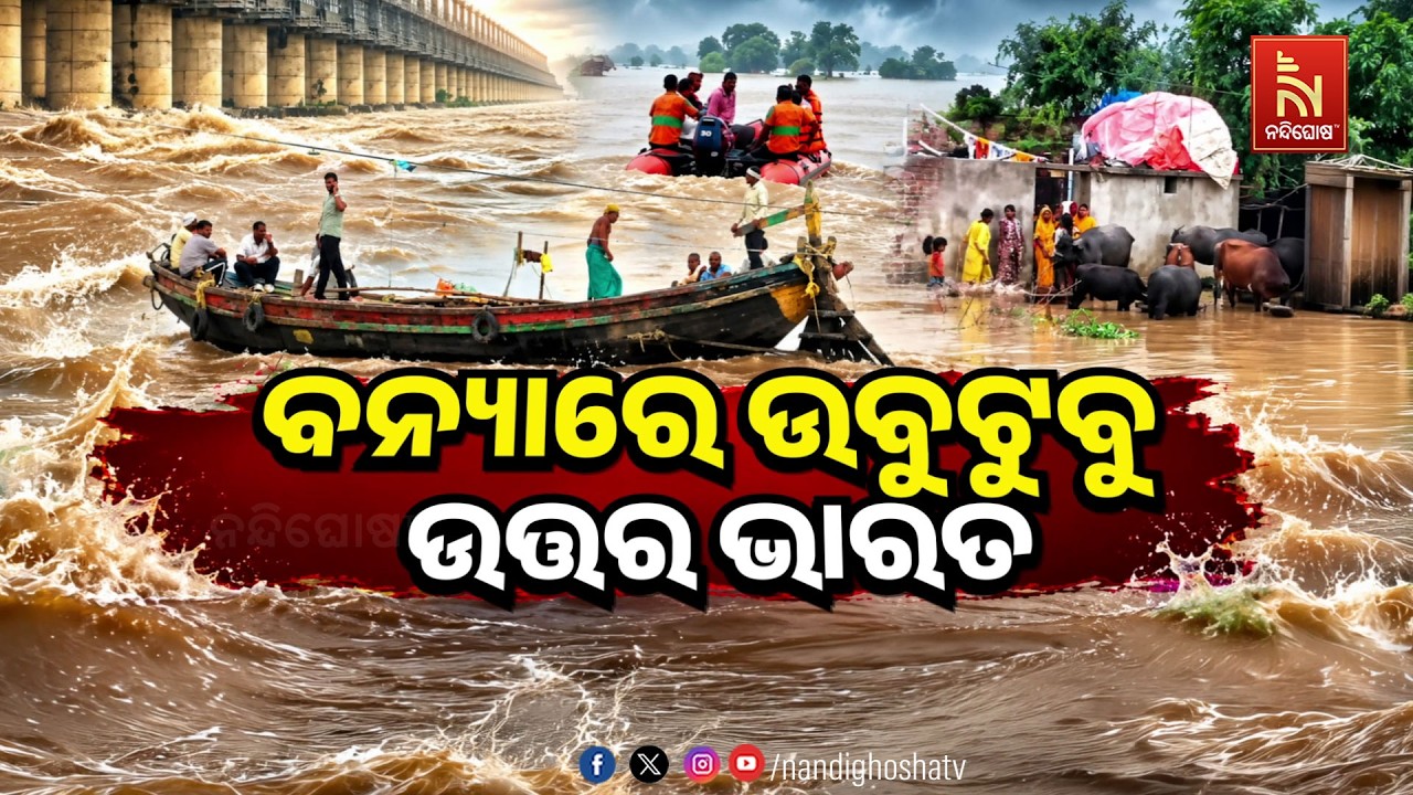 🔴 Live | ବନ୍ୟାରେ ଉବୁଟୁବୁ ଉତ୍ତର ଭାରତ