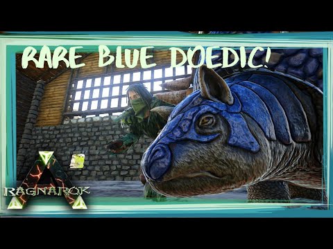 RARE WILD BLUE DOEDIC! Taming a Max Level Doedicurus - Ark: Survival Evolved - Ragnarok (E10)