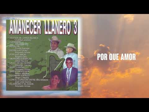 Por Que Amor - Rogelio Ortiz | Cover Audio | Música Llanera