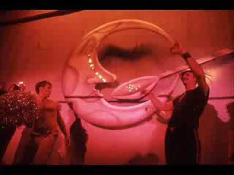 Studio 54   A Look Back