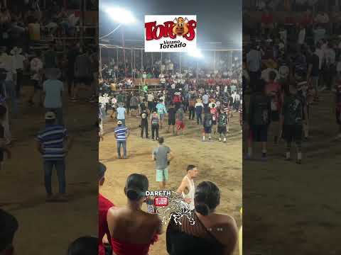 Monta Rústica desde Campo Ferial #Santa Cruz #Guanacaste toros Teletica 25/07/2026 #toros