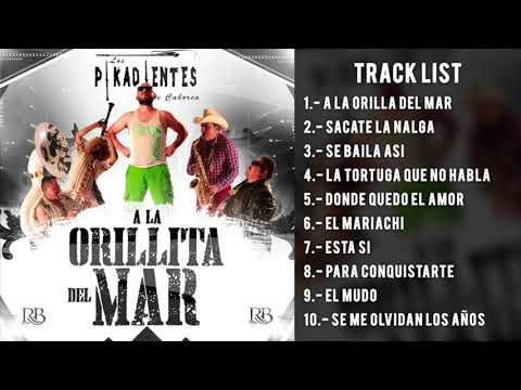 Los Pikadientes de Caborca - A La Orillita Del Mar (Disco Completo)