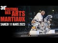 36e Festival des Arts Martiaux (live)