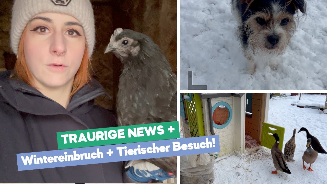 Traurige News / Schneechaos / Tierischer Besuch | Weekly Vlog 01-26