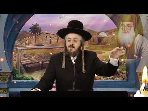 הילולות צדיקים • הקדוש המלוב"ן רבי מאיר אבוחצירא - בבא מאיר •