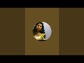 Rashmi 786 Healing Tarot Is Live OM Sai Ram Midas Wolf Magic Begin Now