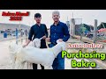 Amin Hafeez Purchasing Bakra for Eid-ul-Adha 2022 (Series 3/5) | Amin Hafeez