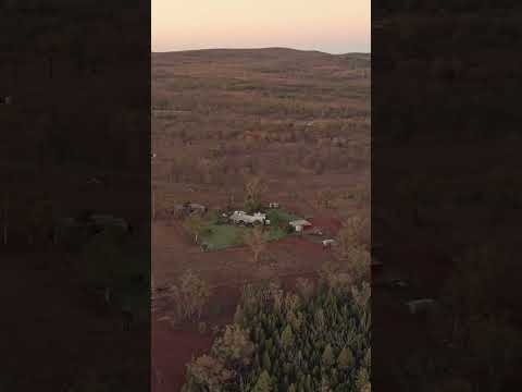 Hunting Side-by-Sides are cool. They just are.
