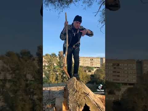 Sick Luke - X2 Deluxe Spoiler, Side Baby, Paky