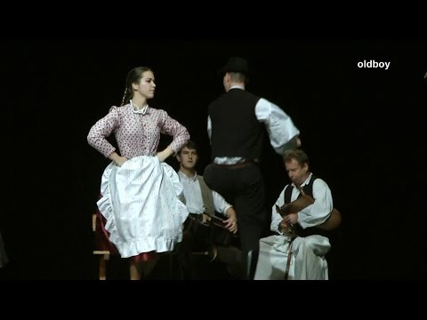 Áll a virgina a tápai Budligyárban - Szökős TE