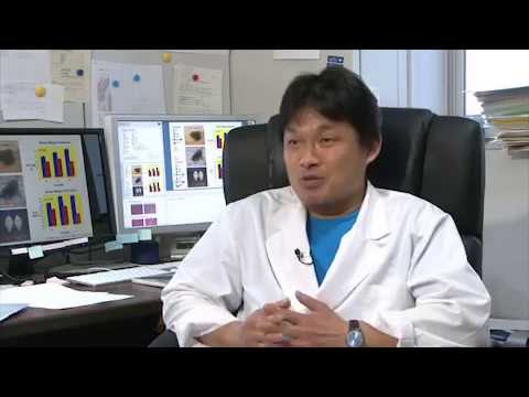 麻布大学 研究室紹介06_山下 匡 教授