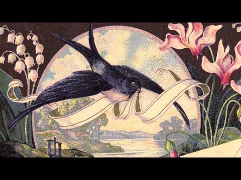 Radek Brodarec - Fala (Thank you)  || Dragutin Milivoj Domjanić - Vlaho Paljetak