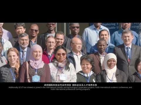 International Opportunities