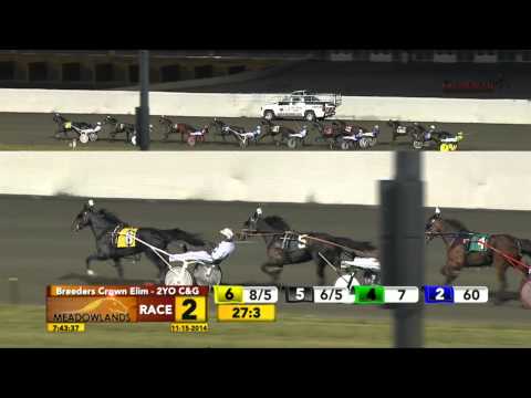 Breeders Crown Elimination - Pinkman - November 15, 2014