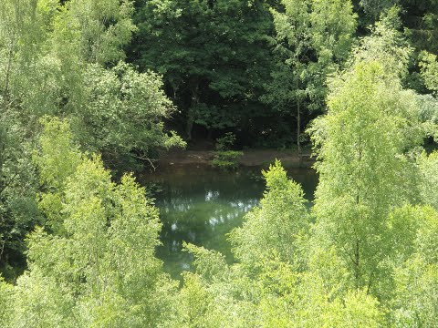 Wanderung zum alten Steinbruch Herberloch | 66709 Weiskirchen | Hochwald