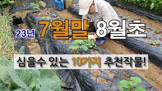 7월 말 8월 초에 심을 수 있는 10가지 추천 작물! #주말농장  #7.8월에 심는 작물 #장마 후 심는작…