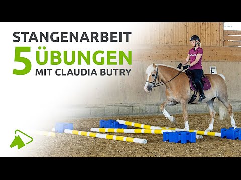 5 Ideen für die Stangenarbeit im Schritt | wehorse