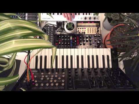 Jamuary 2020: 0020 • Korg • MS-20 • SQ-1 • Volca Keys • Behringer • Model D • Arturia • Keystep