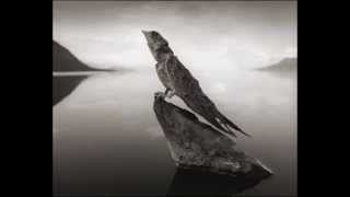 Making A Cross - the Desert Sessions