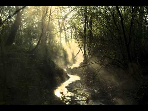 Pervading Call Two - On my mind (Ace da Brain mix)