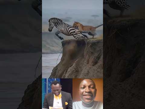 Wait for it 🤣 #ytshorts